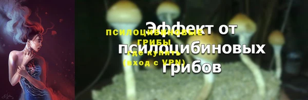 эйфоретик Аркадак