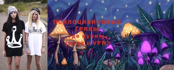 эйфоретик Аркадак